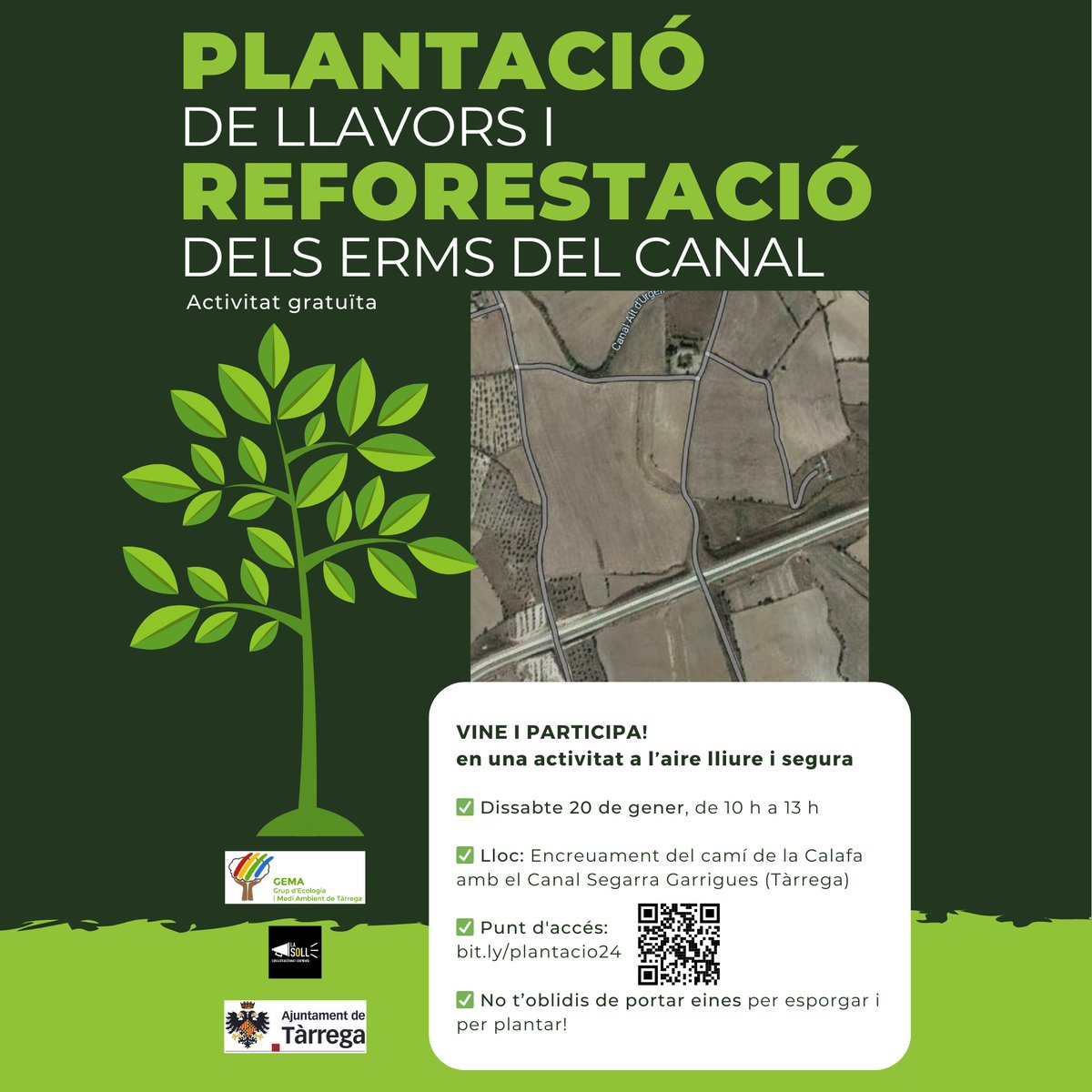 📢🌿Esteu convidats a participar d'una activitat gratuïta a l'aire lliure i per a tota la família:
🌱Plantació de llavors i reforestació dels erms del canal
📅Dissabte 20/01. De 10h a 13h
📍Encreuament del camí de la Calafa amb el Canal Segarra Garrigues (Tàrrega)
⛏️No t'oblidis!