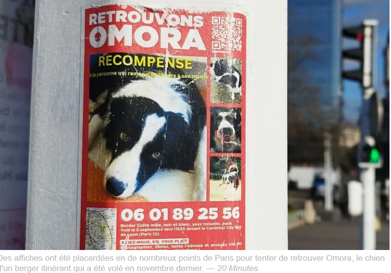 AuCoeurAnimaux's tweet photo. Hayden, un jeune berger itinérant de 29 ans, s’est fait voler son chien Omora alors qu’il était de passage à Paris, en novembre dernier. Ce border collie de 4 ans est son principal outil de travail.
Mardi, le tribunal correctionnel de Paris a condamné le voleur, un Roumain en https://t.co/qrqFl5cEmB