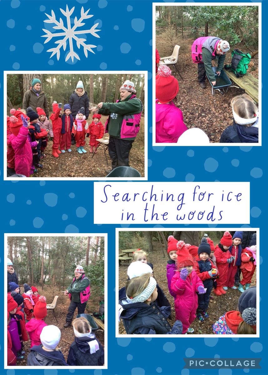 THSch_OutdoorLearning tweet media