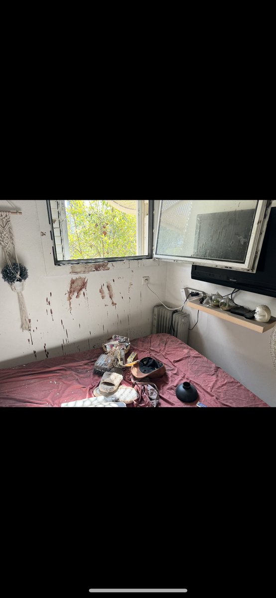 Vivid.🇮🇱 tweet media