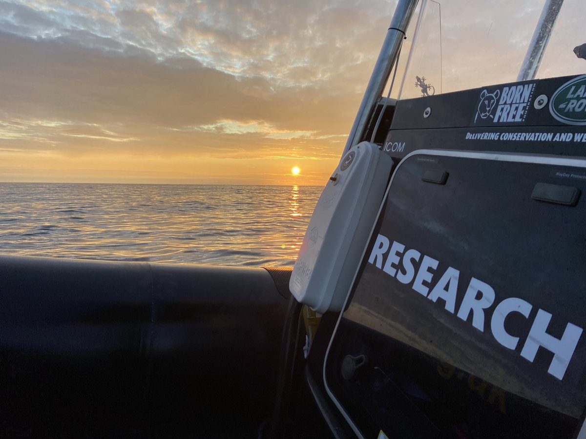 CRRU's tweet photo. CRRU are offering training internship places this summer again.  These offer the unique opportunity to participate in cetacean research on boat surveys, learn about cetacean ecology and field methods, and meet like-minded people. Find out more here https://t.co/YocEctsSal https://t.co/tJFtqEPQnk