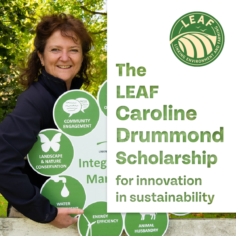 We are offering you the opportunity to support the LEAF Caroline Drummond Scholarship!

Support cutting edge research projects which deliver climate positive change and build on Caroline's legacy.

Find out more here➡️leaf.eco/about-leaf/cd-… #IntegratedFarmManagement