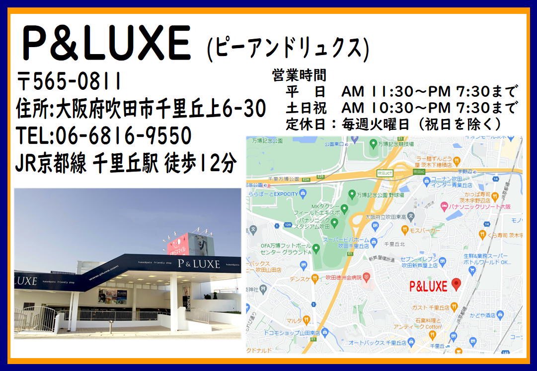 PLUXE6's tweet photo. 移転セールも残り1ヶ月という事で
更にプライスダウン‼

アクア・爬虫類・観葉植物コーナーの生体・用品40%OFFです‼️
(フード、サプリメント、冷凍エサ、爬虫類用床材、コンディショナーは30％OFF)

※特価品・特価生体・アウトレット商品・活き餌は除く。
※在庫限り
※お取り寄せ商品は10%OFF https://t.co/mE8JSdmtVH