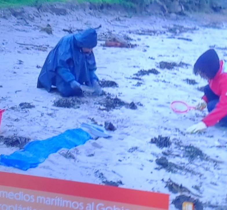 Los mismos responsables del prestige son los mismos responsables de los pellets... No es buscar culpables es decir la realidad de quienes no son responsables con las políticas miren al mar menor ...y así todo.