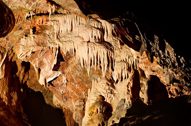 TorbayCulture's tweet photo. Today 11 January is #HeritageTreasures day @HeritageFundUK
#Torbay - the @EnglishRiviera - is home to a range of built, natural, and intangible heritage
#KentsCavern #BerryHead #DevonCupCoral #SchoonerHarryEmettofBrixham https://t.co/TGvmEHOsg7