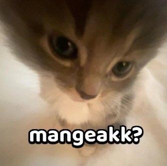alterzzy's tweet photo. Aku di Twitter      vs           Aku di IG https://t.co/RSH4TIhxHs