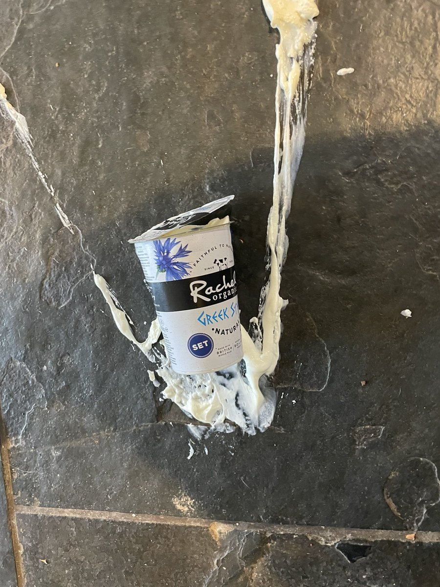 Anna King tweet media