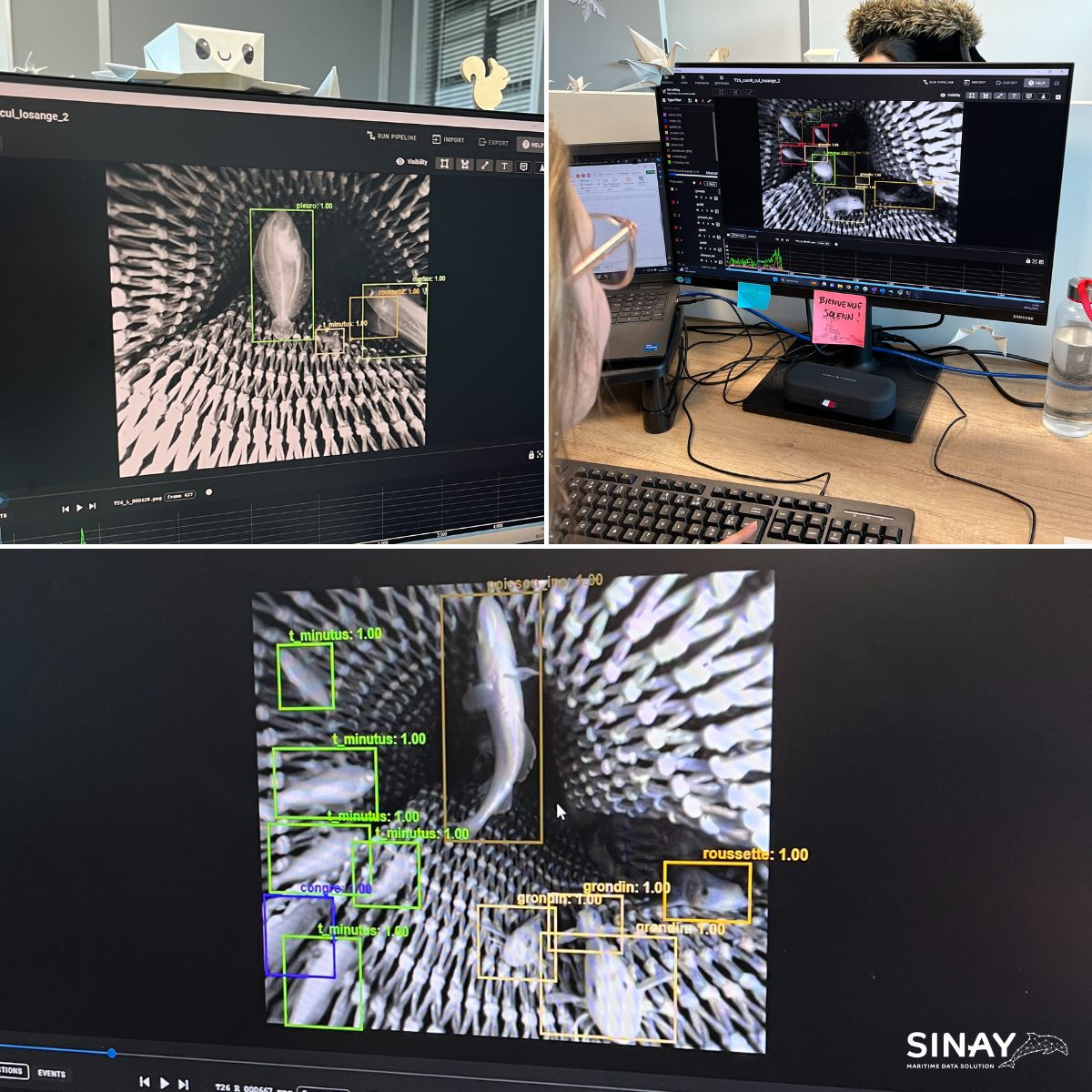 Le Projet ESCAPE🐟

Notre équipe contribue au projet "ESCAPE" de l'<a href="/Ifremer_fr/">Ifremer 🌊</a> où nous jouons un rôle crucial dans l'annotation des espèces de poissons à partir de vidéos de chaluts de pêche pour comprendre les subtilités des processus de capture et d'échappement. 🎣