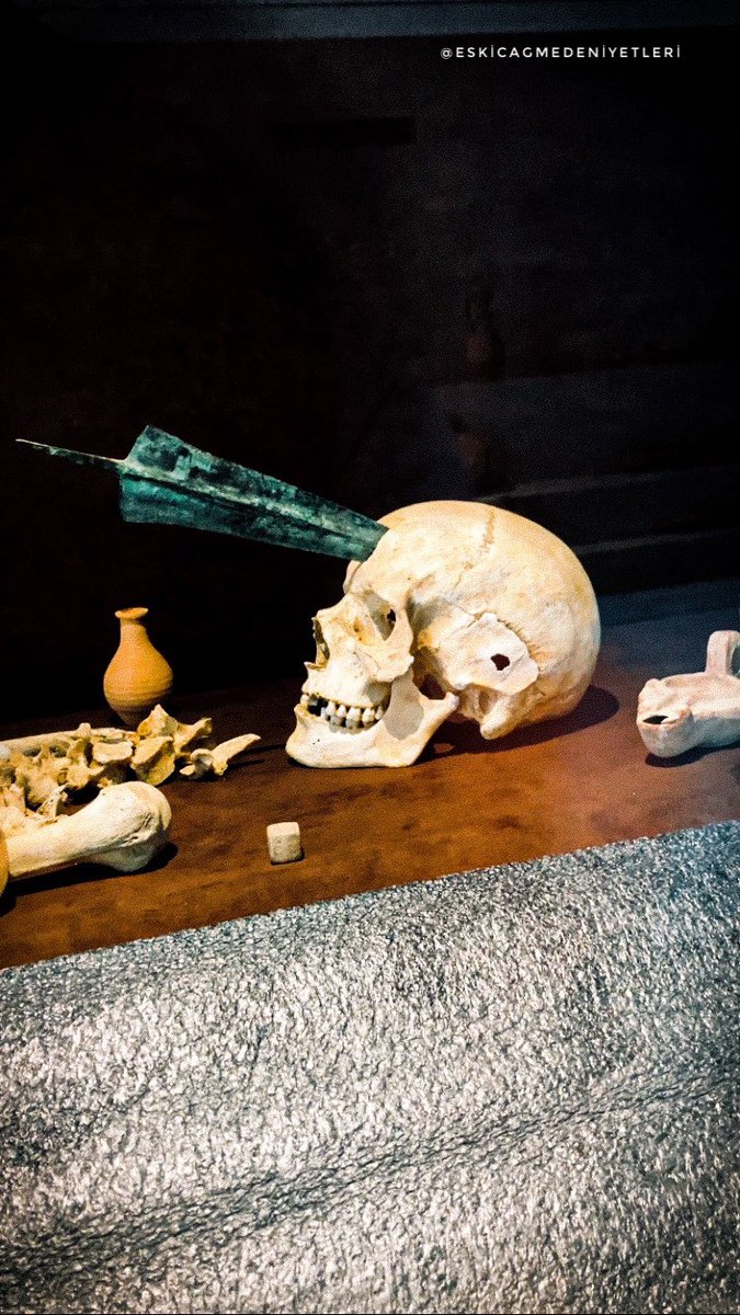 EMedeniyetlerii's tweet photo. 🇹🇷 Afrodisias Müzesi, Aydın, Karacasu, Geyre. 

Mızrak saplanmış bir kafatası. 

🇬🇧 Aphrodisias Museum, Aydın, Karacasu, Geyre.

A skull impaled by a spear.

#arkeoloji #aphrodisias #museum https://t.co/ya1ZZkNcVW