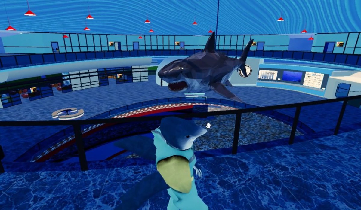 + Salty Sharks Uprising 🇦🇺 tweet media
