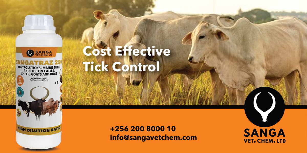 sangavetchem's tweet photo. Did you know that SANGATRAZ 250 is an economical acaricide for removing ticks, mange mites, and lice on goats, cattle, and dogs? It's highly concentrated, cost-effective, and ensures your animal’s well-being. 

#ByeByeTicks #HappyHealthyAnimals #Sangatraz250 https://t.co/0IW2IJRYVK