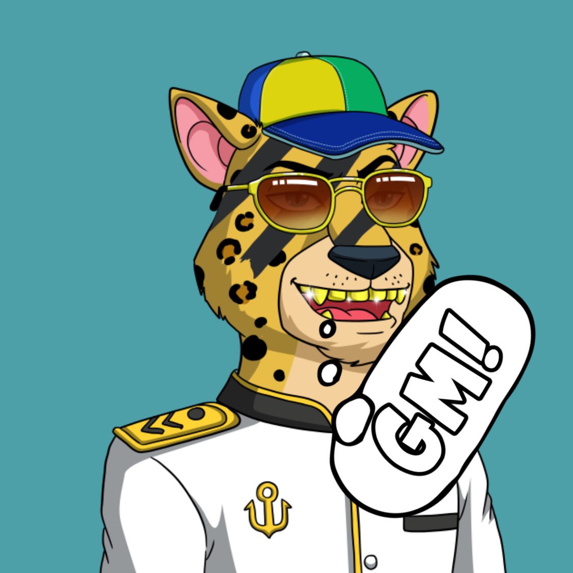 Leopard Camp NFT tweet media