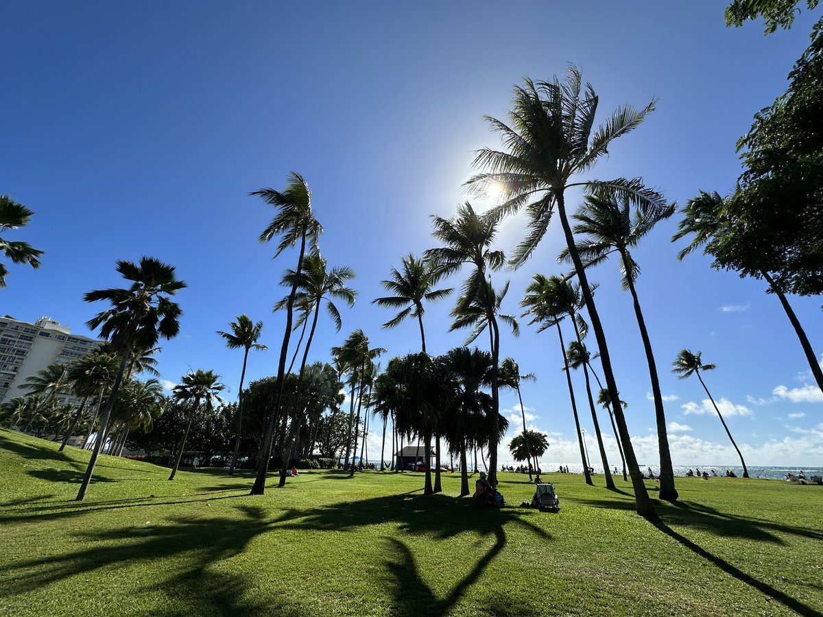 eastmanhawaii's tweet photo. #IIEHAWAII 今日のアクティビティはヨガ！海からの風がとても気持ちの良い午後でした🌴　#ハワイ留学 https://t.co/J9fjpMVCRG
