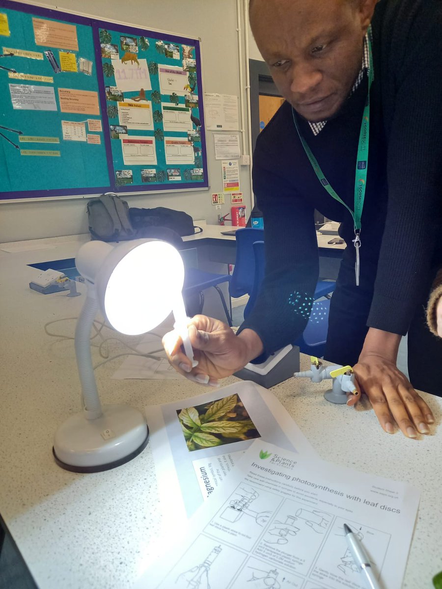 GORSESCITT's tweet photo. Our science trainees have been experimenting, making leaf discs from spinach. This shows that plants produce oxygen during photosynthesis. The discs rise to the surface after a few minutes of exposure to light.
#GORSESCITT #ITT #teachertraining #SCITTProgram #SCITT https://t.co/uoSdwcaDeY