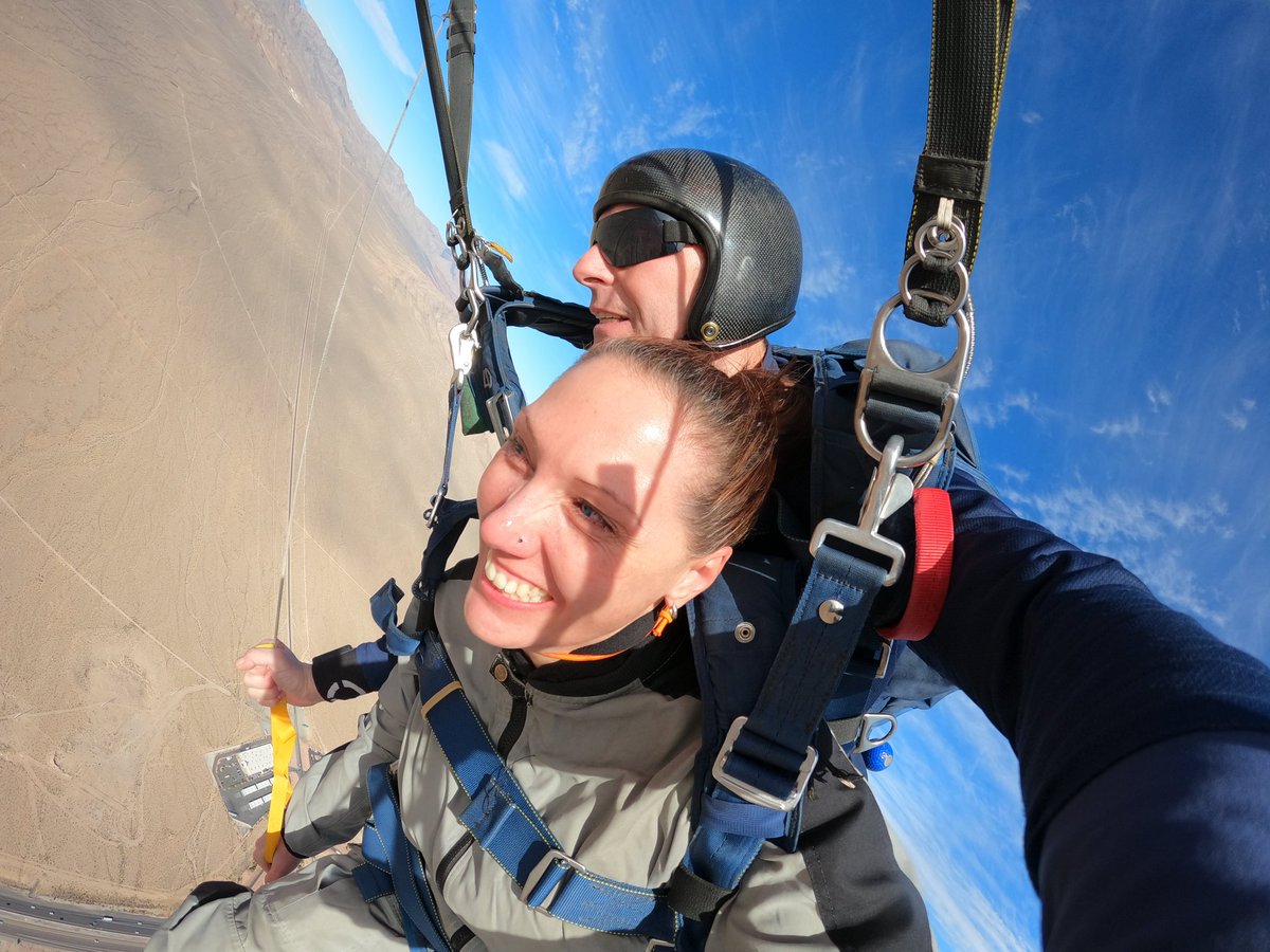 Lo Halcro tweet media