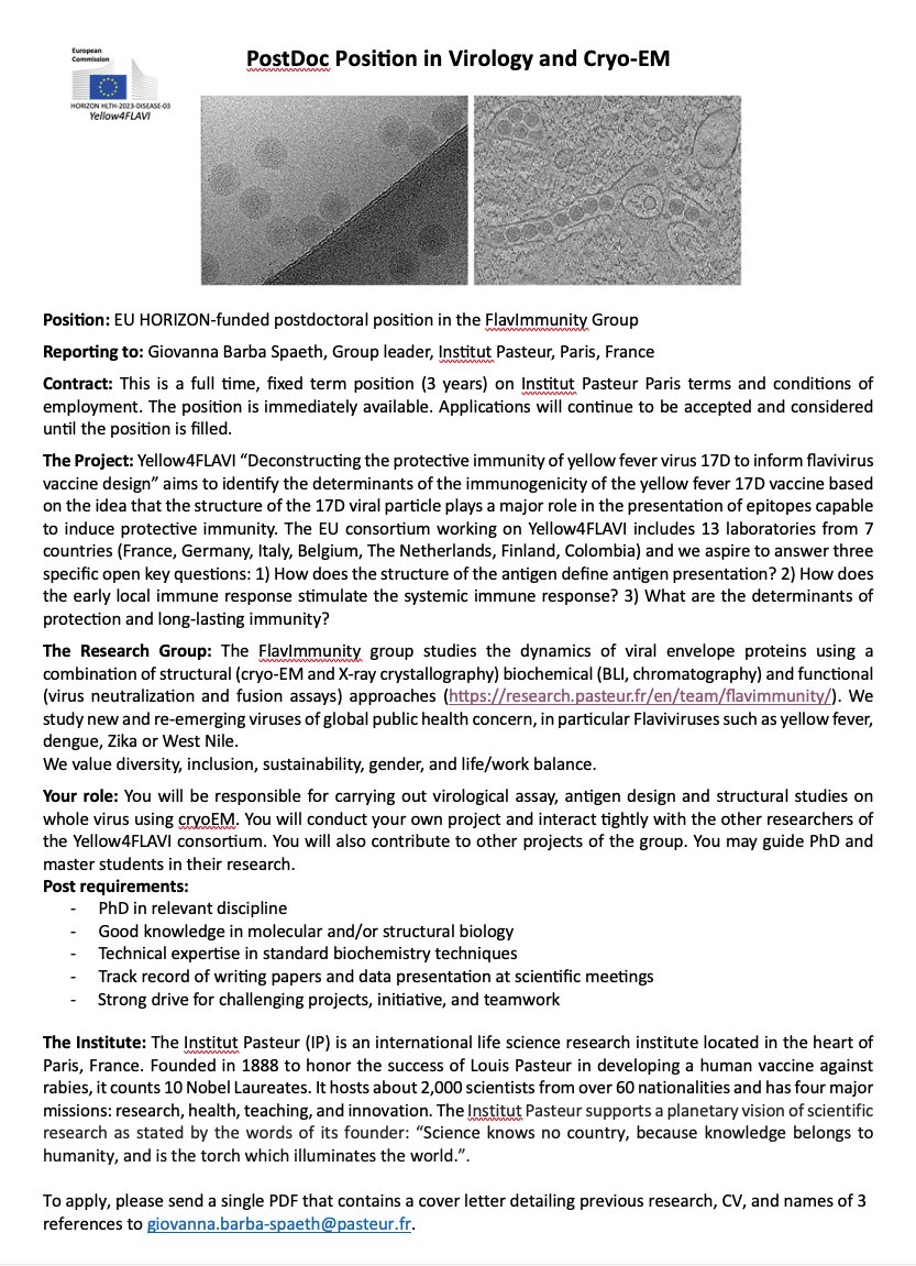 GiovannaBarbaSpaeth|@giobarbaspaeth.bsky.social tweet media