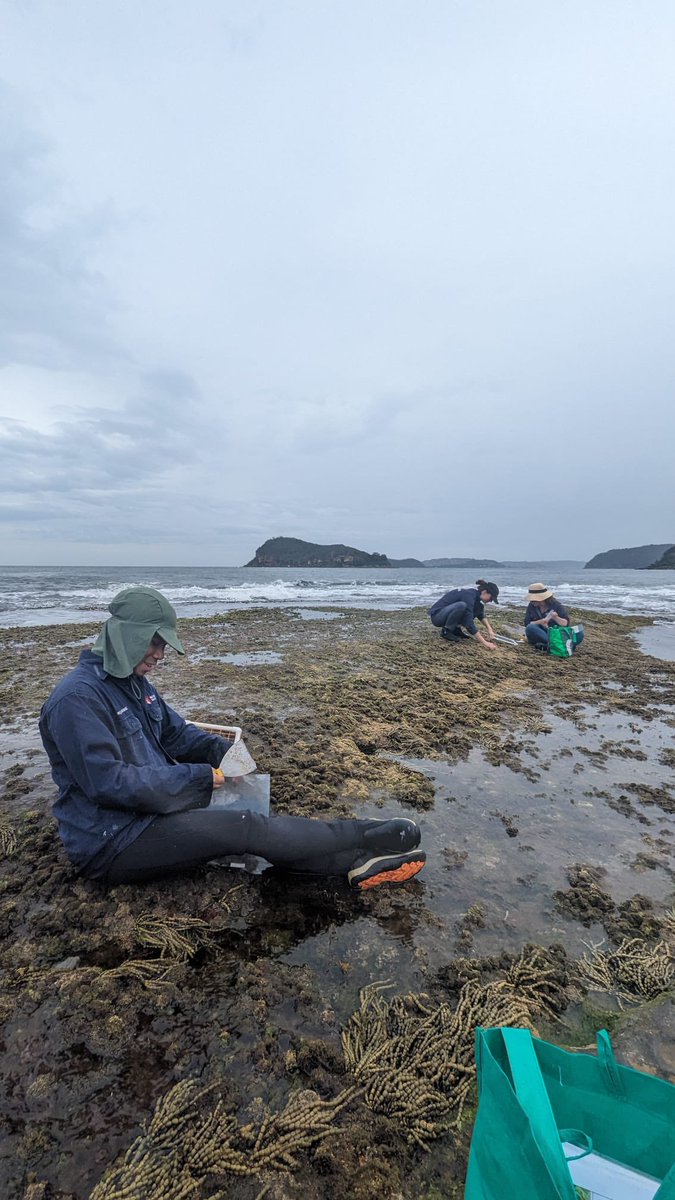 Ze Hoe Lee tweet media