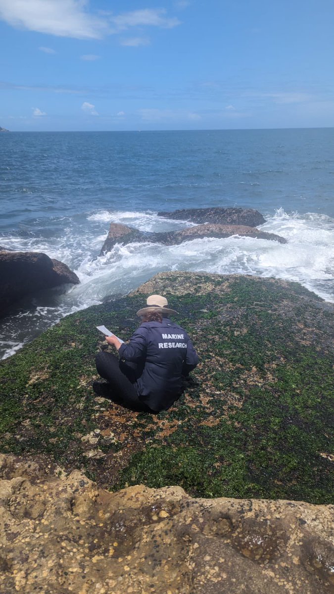 Ze Hoe Lee tweet media