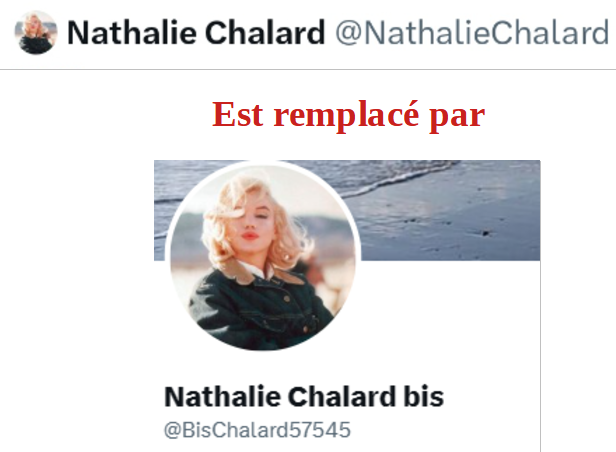 BisChalard57545's tweet photo. 🔴 Bouteille à la mer - SOS 🔴 

Mon ancien compte Twitter-X ayant été piraté, je n'y ai plus accès.
J'ai créé un nouveau compte : @BisChalard57545. Malheureusement, j'ai beaucoup de mal à récupérer mes anciens anciens abonnés.

Pouvez-vous m'aider en RT ce post ?
Merci merci🙏🫶 https://t.co/3rYRSF9w5f