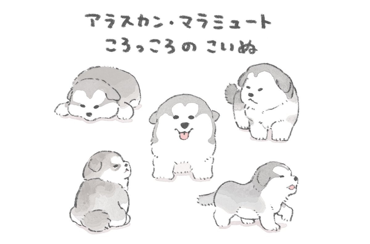 ころっころのこいぬ 