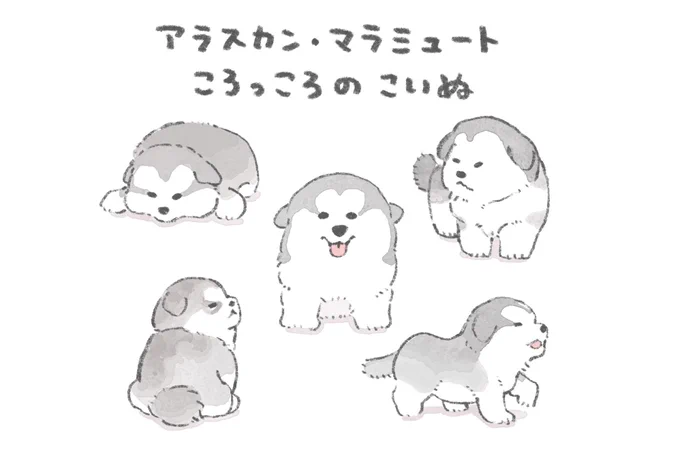ころっころのこいぬ 