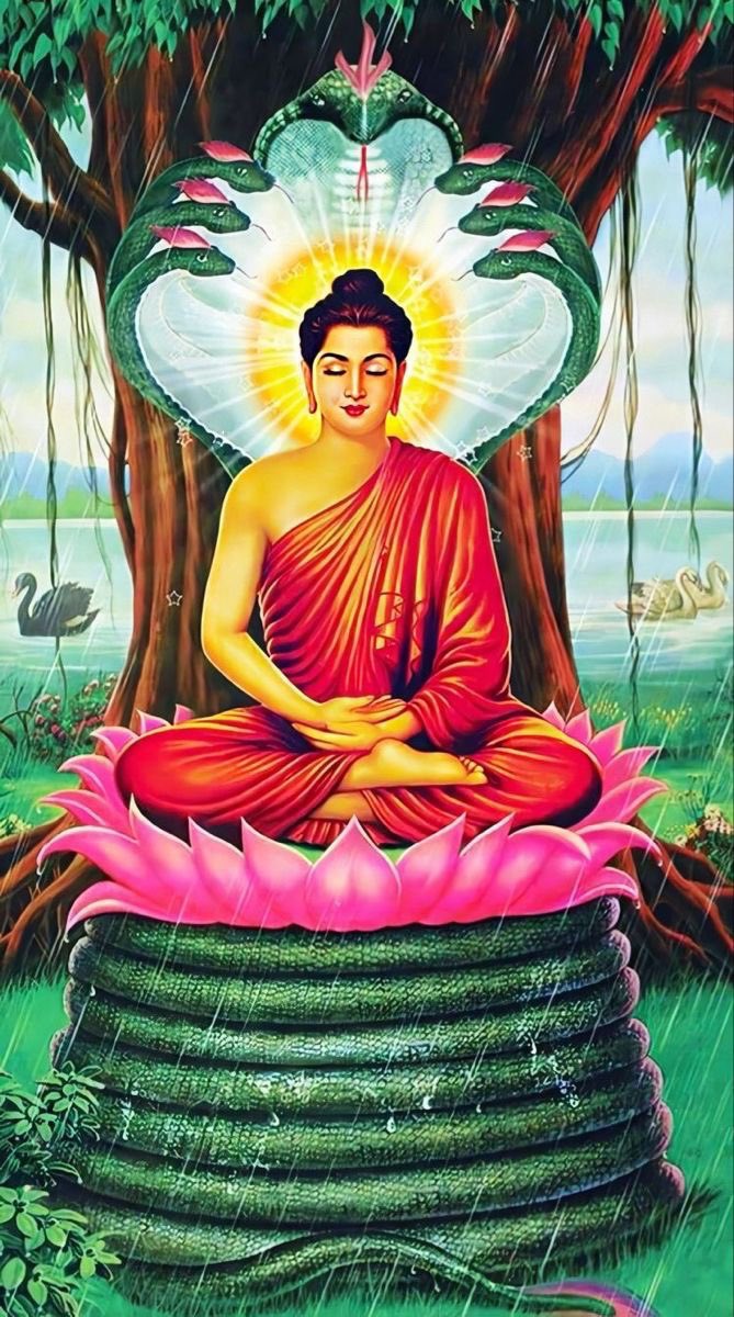 spreadpeace108's tweet photo. “Holding on to anger is like grasping a hot coal with the intent of throwing it at someone else; you are the one who gets burned.” ~ Lord Buddha https://t.co/QvOKCNJ9lE