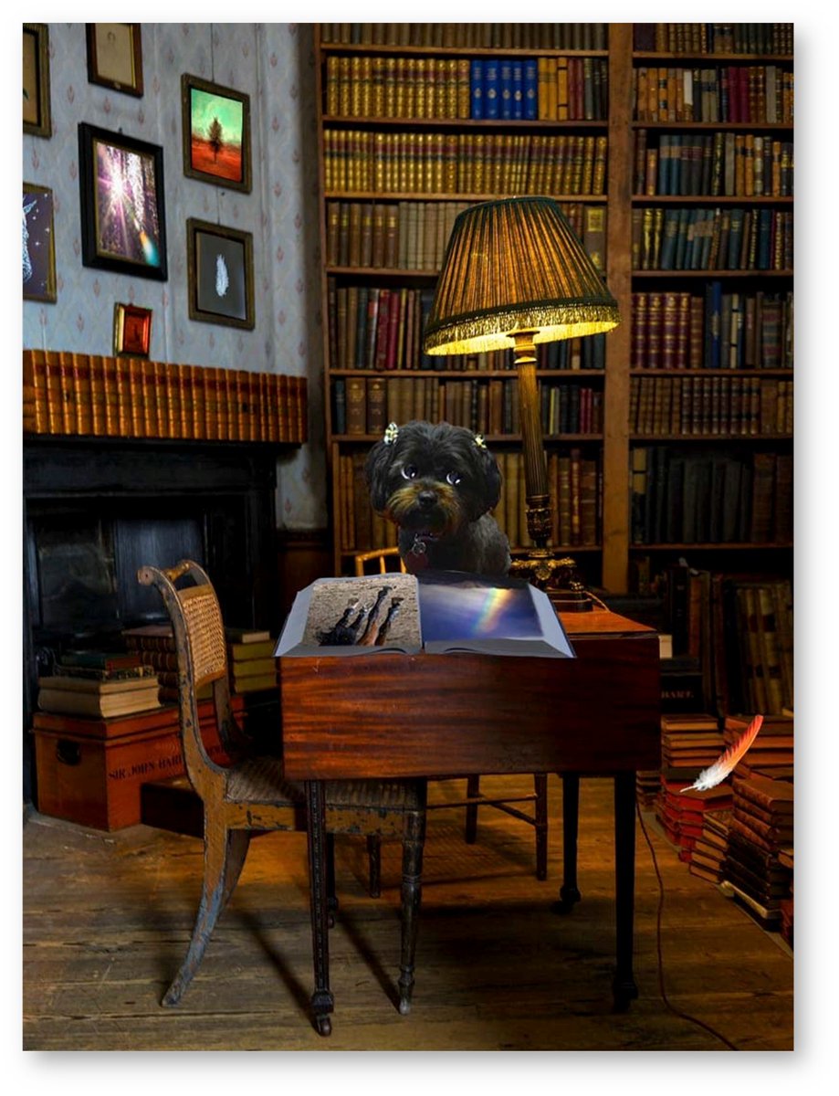 AnimalMusings-where the FUR PALS PRESIDE tweet media