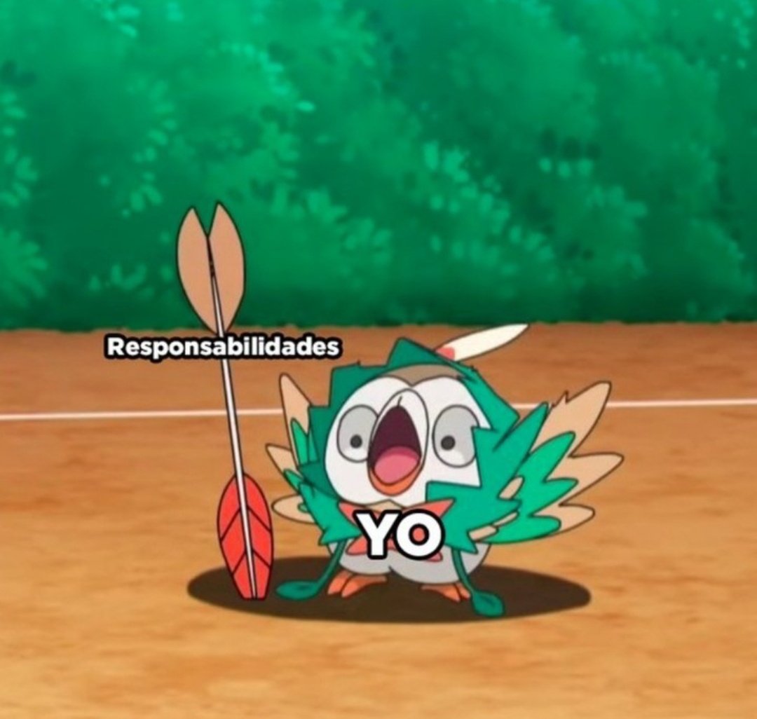 Pokecarlengues's tweet photo. Mi día de hoy: https://t.co/tK5koTKO2o