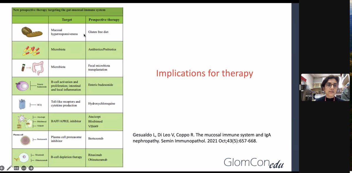 Fascinating insight on the pathogenesis of from <a href="/DrGeetikaSingh1/">Dr Geetika Singh</a> at <a href="/GlomCon/">GlomCon</a> 
🌟Differentiating primary from secondary disease
🌟Understanding the gut-kidney axis
🌟How KM55 staining of biopsies helps
🌟And it matters