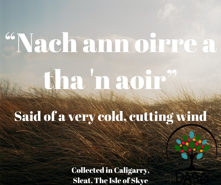 DASG_Glaschu's tweet photo. 💨😰
"NACH ANN OIRRE A THA 'N #AOIR" - SAID OF VERY COLD, CUTTING #WIND
❄️
#Gaoth #Gaothach #Windy #Aimsir #Sìde #WinterWeather #Geamhradh #GaelicWeather
🌬️
#Alba #Scotland
#Gàidhlig #ScottishGaelic
#DigitalArchiveofScottishGaelic #DASG https://t.co/zykE10STbl