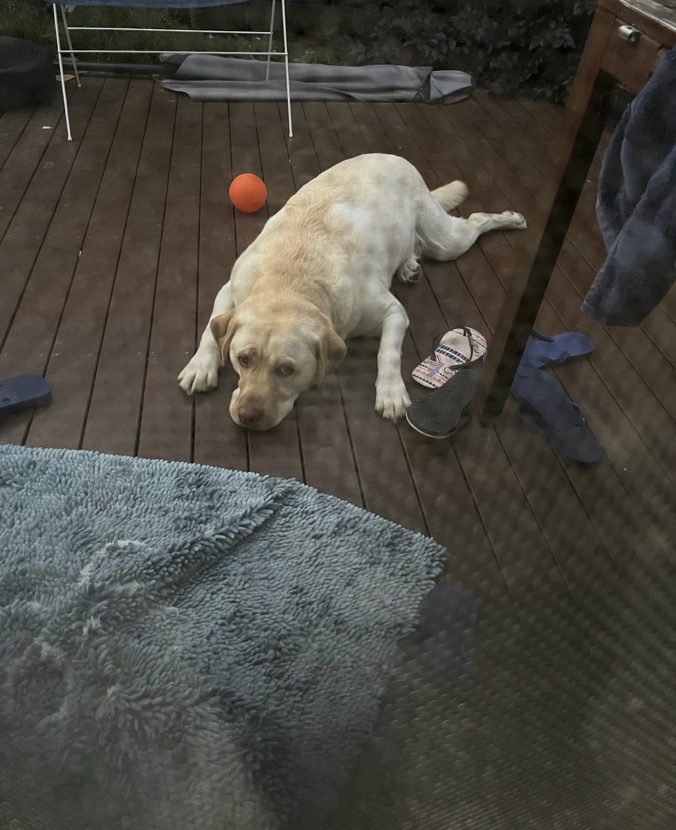 気温が下がって蚊が出てきたから家の中に入ろうって言ってるのにもっと外で遊ぶって地べたにへばりついて動かない、たこちゃん