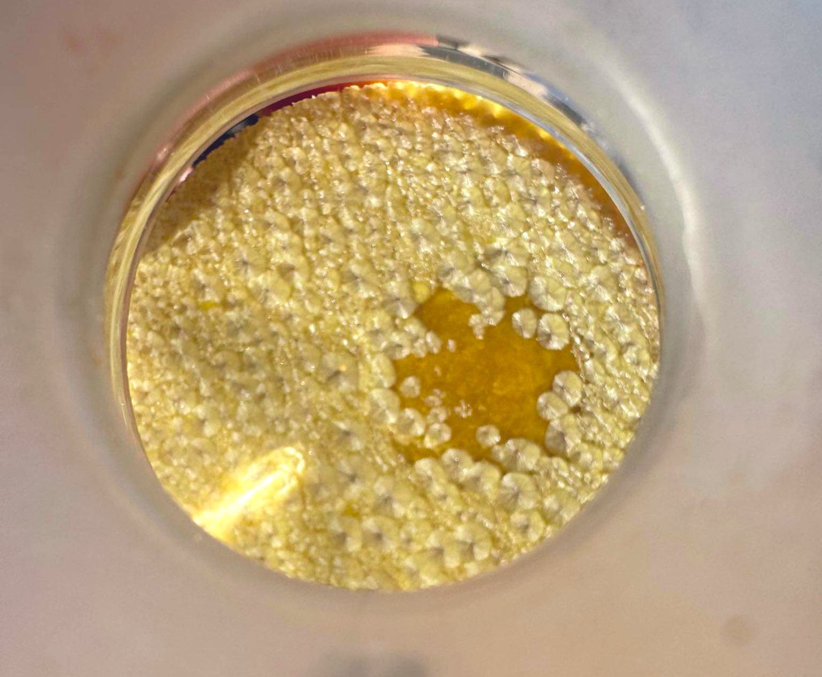 souhailaenaili's tweet photo. Upgrade your life in silence.
#Pure_bananas_crystalsโ๏ธ
#organic synthesis ๐ฏ
#Lab_work https://t.co/9t9Ki379Aa
