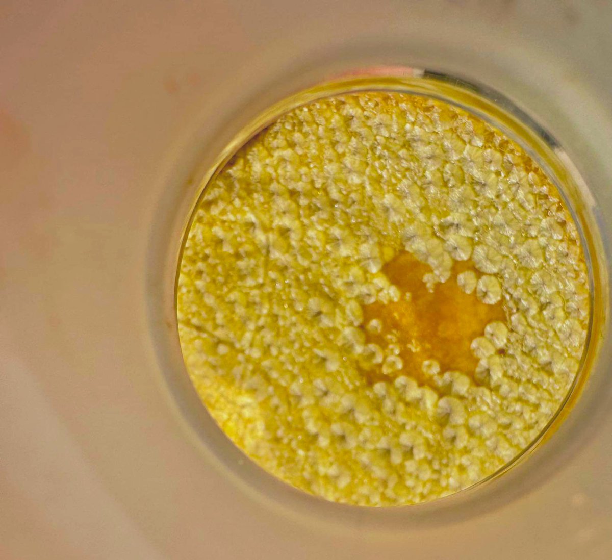 souhailaenaili's tweet photo. Upgrade your life in silence.
#Pure_bananas_crystalsโ๏ธ
#organic synthesis ๐ฏ
#Lab_work https://t.co/9t9Ki379Aa