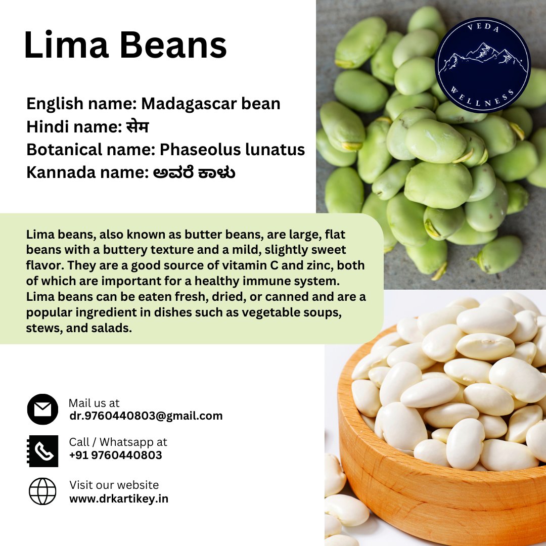 Delight in the velvety goodness of Lima Beans, also known as Madagascar Beans! 🌱🌍 Known as 'सेम' in Hindi and 'ಅವರೆ ಕಾಳು' in Kannada

#LimaBeans #MadagascarBeans #ButterBeans #सेम #ಅವರೆಕಾಳು #NutrientRich #CreamyGoodness #HealthyChoices #VitaminCBoost #ImmuneSupport