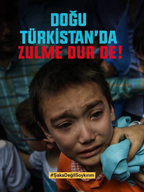 Yeri ve zamanı gelmişken;

Doğu Türkistan’da Komünist Çin tarafından işkencelerde gün yüzü göremeyen Türk çocuklarının da sesi olmanız şerefinizin göstergesi olarak tarihe geçecektir.

 #EpsteinClientList