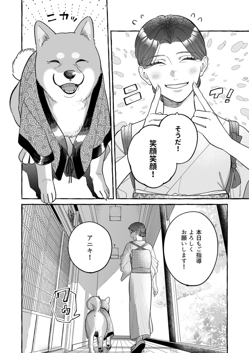 (3/3) 