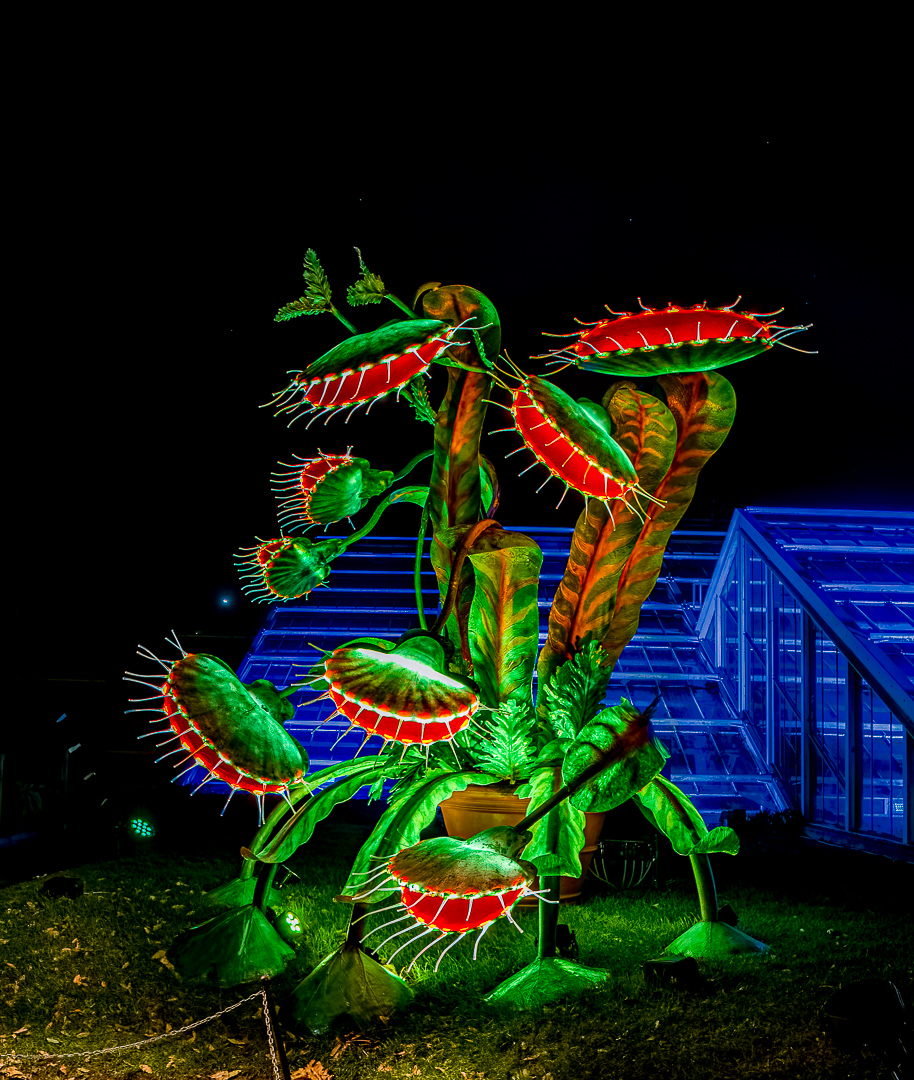 NigelStanley's tweet image. 4/5 Kew Gardens lights

My favourite of the discrete art works on show. And I like how it has rendered in a rather painterly way - so it looks a bit like a 60s sci-fi novel cover.
.
.
.
.

#photography
#nightphotography
#kew #kewgardens #lightsfestival