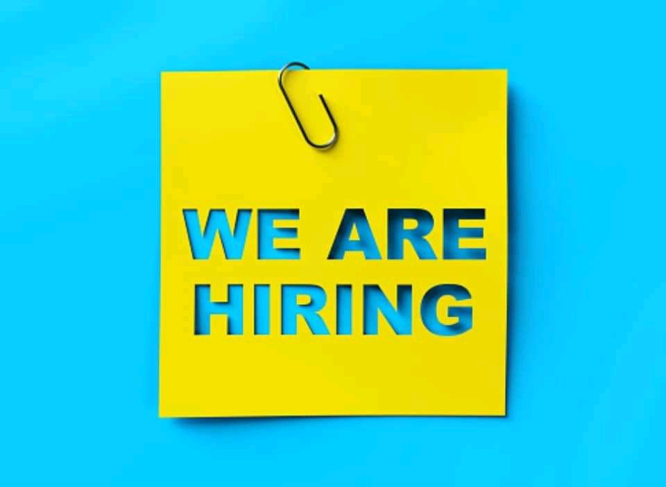 OnyishiPaschal's tweet photo. In need of a Book content creator

Requirements:

▫️Must be tech savvy (not a coder)
▫️Must know how to use AI and chatgpt.
▫️3 books per day.

Fully Remote Virtual Assistant Service

Payment- Monthly

DM's open if you're interested. https://t.co/rwN35nEqdF