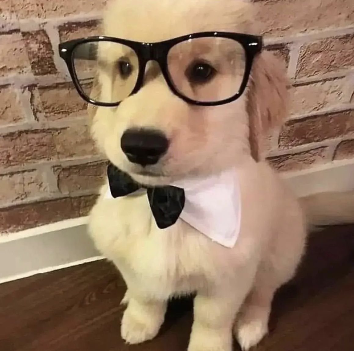 มะ มะ มีแฝนยังคับ