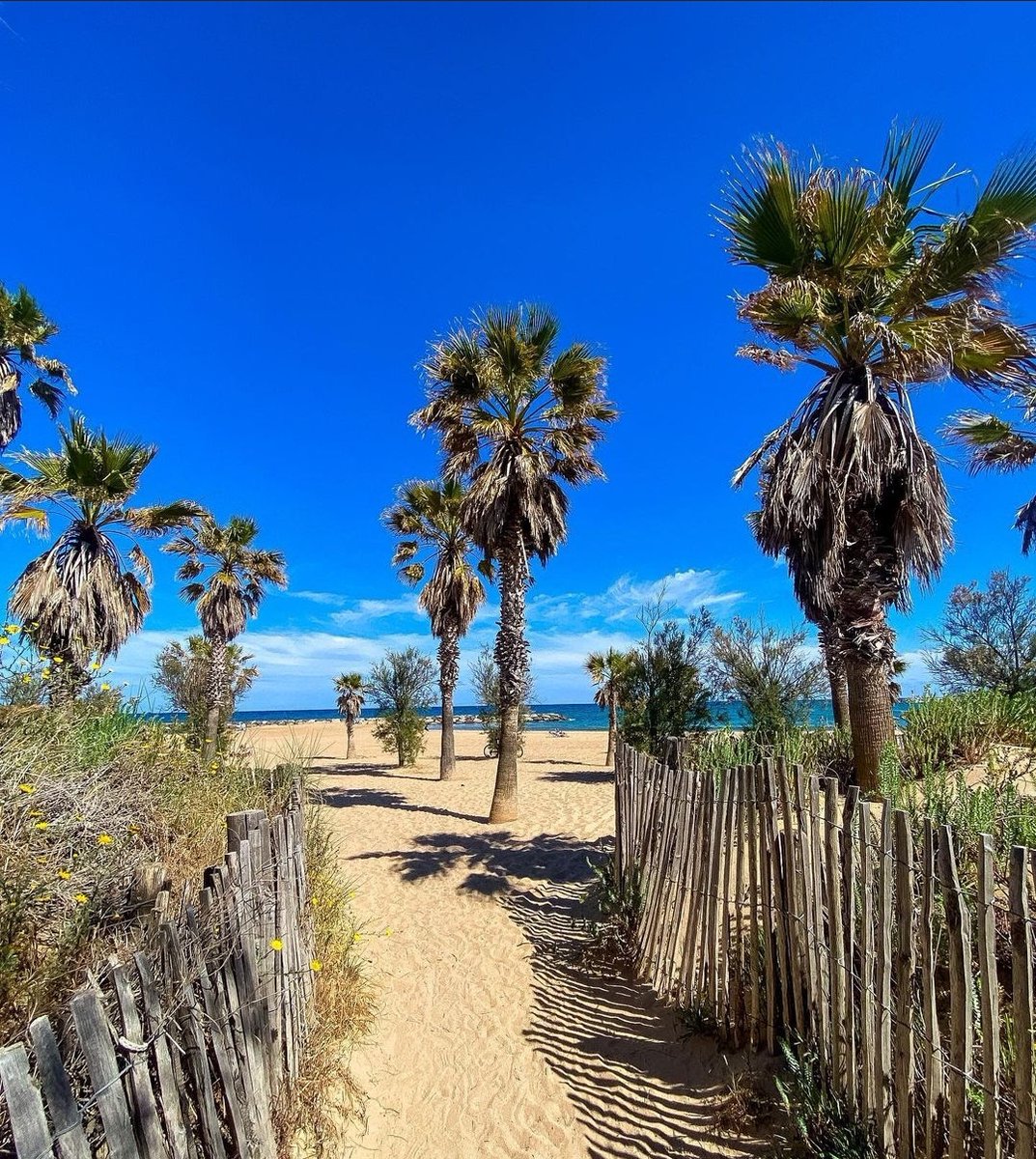 🌊 Bienvenue à Saint-Aygulf, sur la plage des Esclamandes avec ses beaux palmiers, son sable chaud et ses digues ! 🌴

On adore s'y promener et s'y baigner ! Et vous, vous l'appréciez aussi ? 😎

📸 insta beautiful_frenchriviera