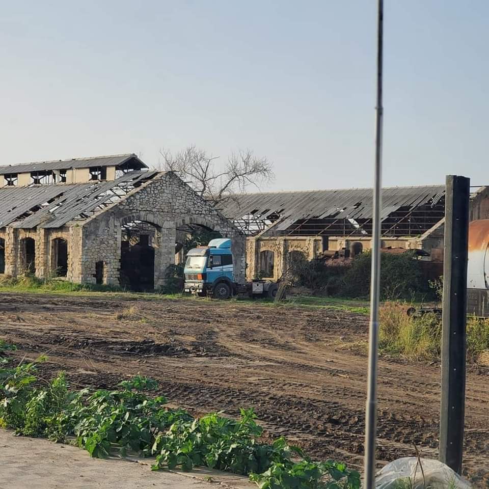 Ihab Matar - إيهاب مطر tweet media