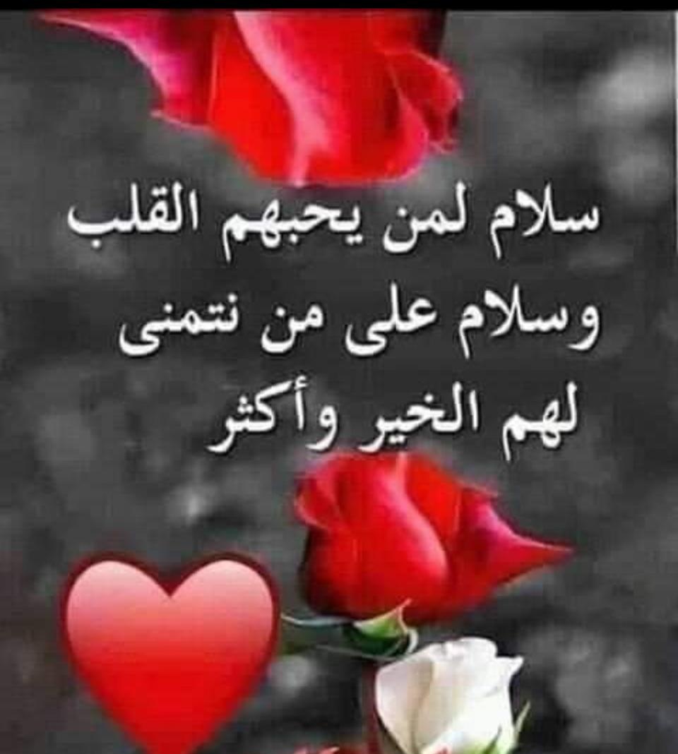 Hamadi2030's tweet photo. الـردّ ممكن يـنـقـصِك وإنت في زود
والصمت بعض أحيان حكمة ومهابة

وش هيبة الغربان لو تنعق حشود
دام الاسد صامت وكـلّـن يـهـابـه .. https://t.co/EJGoiHlT2I
