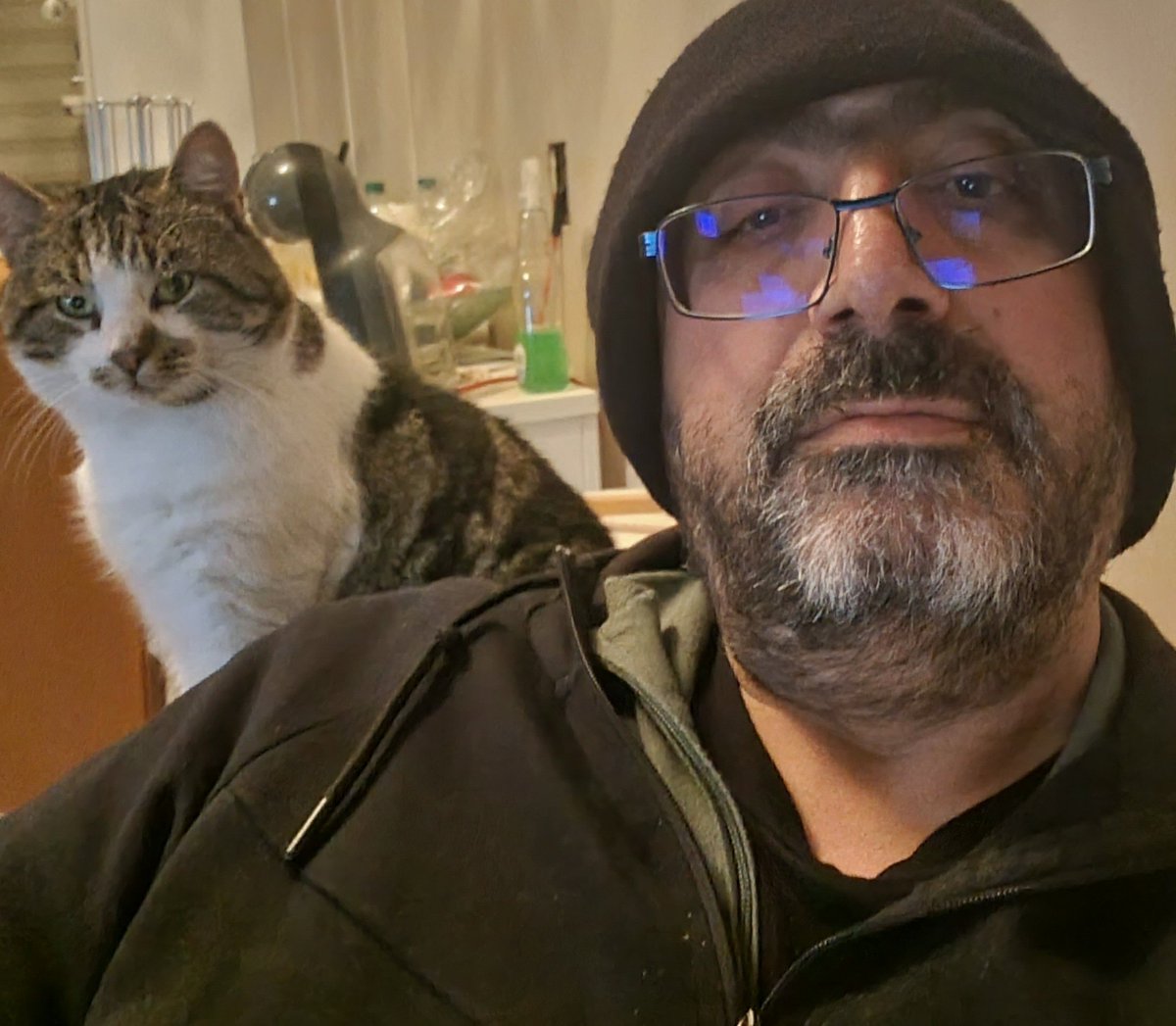 evldiottoman's tweet photo. Insanin böyle bir dostu olmali https://t.co/iSAhjNRV5W