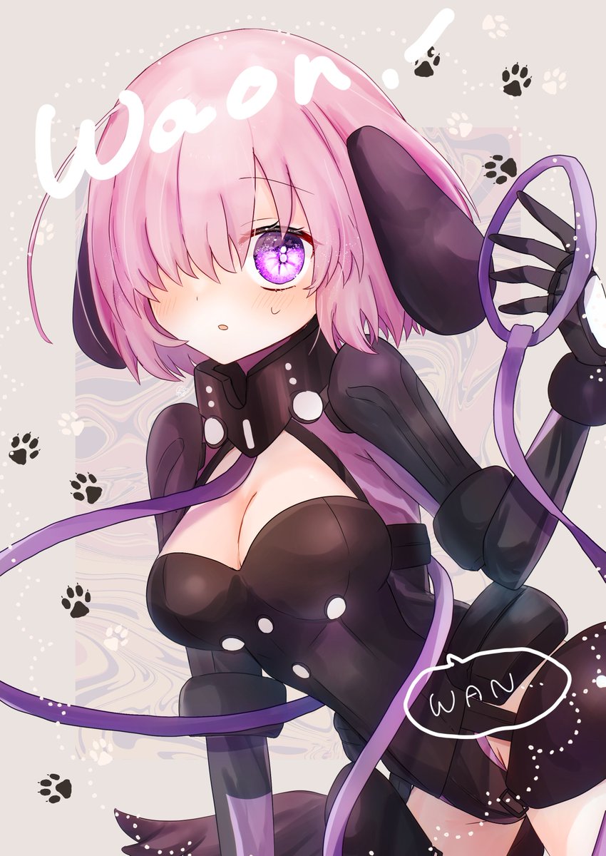 マシュ・キリエライト(Fate) 「今日って犬の日なんだ!!全然意識してないのにたまたまいぬマシュ描いてたわ ついで」|はるかっぱのイラスト