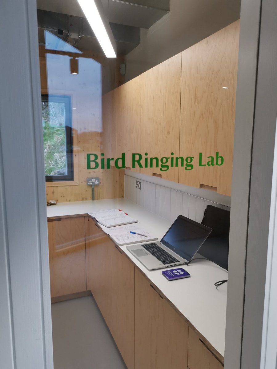 Jason Thompson tweet media