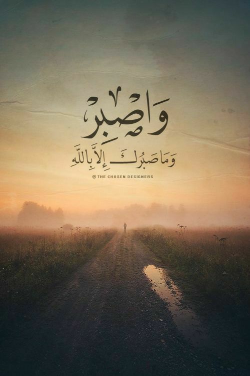 ‏﴿ االادارة العامه ﴾🤍 tweet media