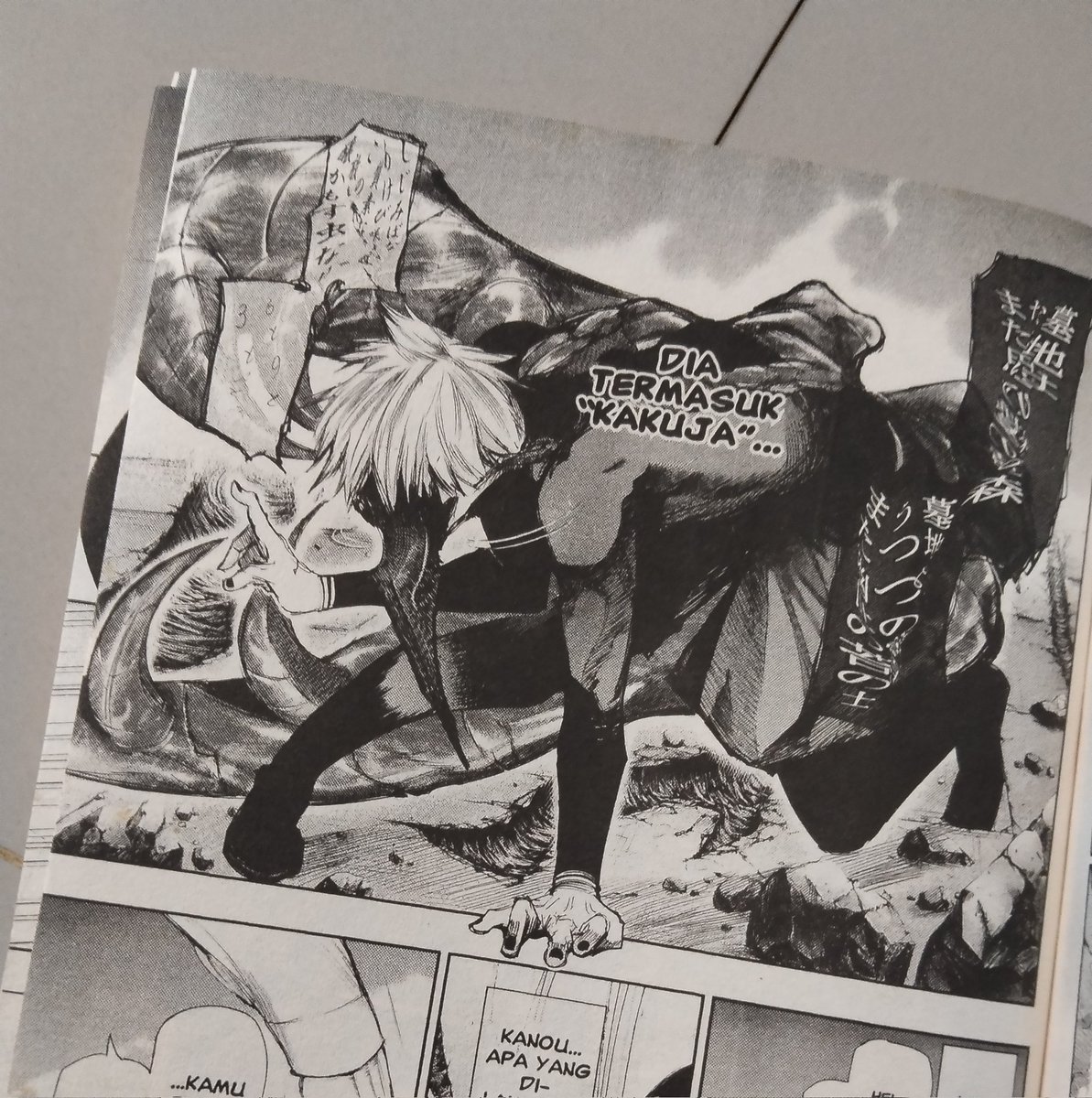 MasterArrow4's tweet photo. And the best panel in My Tokyo Ghoul volume collection ⭐⭐⭐⭐⭐ https://t.co/UUTpm7Dc8p
