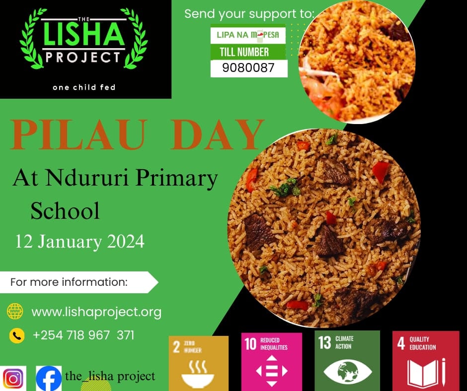 The Lisha Project tweet media