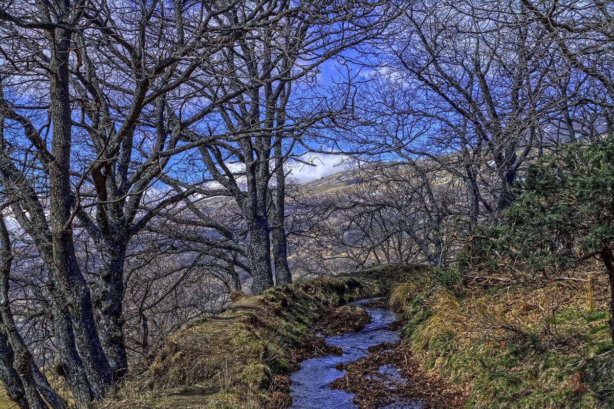 oapngob's tweet photo. Sierra Nevada no es únicamente conocido por sus cumbres nevadas 🏔️ y cabras montesas 🐐.

¡Hoy celebramos el 25 aniversario de la declaración del Parque con esta linda foto de la Acequia Almiar! ¡¡Muchas felicidades!! 🎂🎊

¿Conocíais esta parte del PN? https://t.co/b3T0SE7JtW