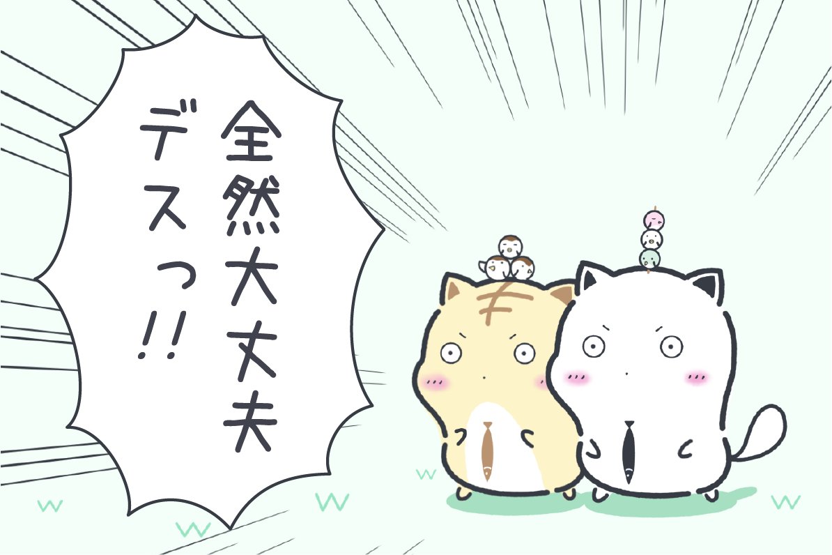 全然大丈夫な時に自由に使っていいもちねこ画像🐈💨💨